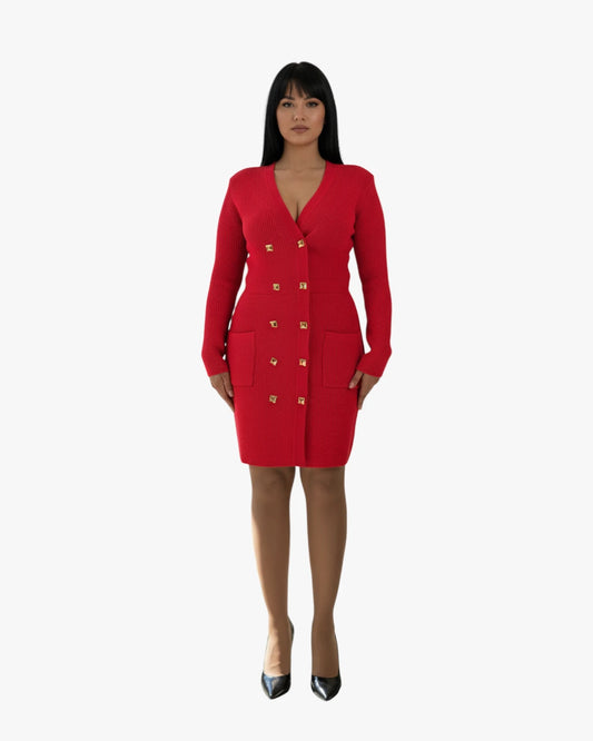 Scarlet Icon Knit Dress